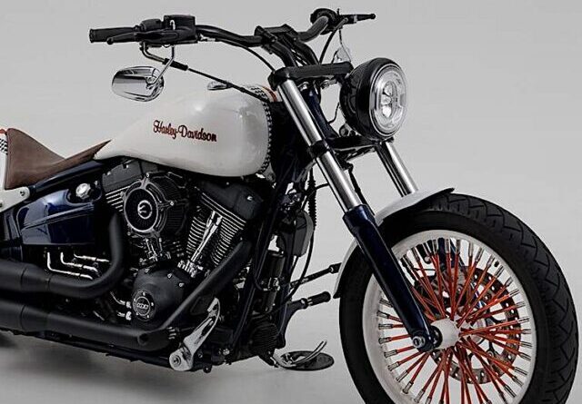 cropped-die-neue-harley-davidson-lynx-wurde-soeben-enthüllt-01.jpg