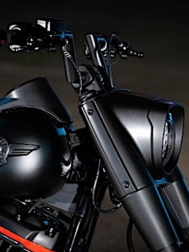 ¡Nueva Harley Davidson Mad Boy!